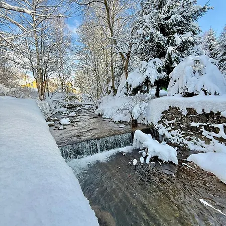 Amalka Πανσιόν Rokytnice nad Jizerou